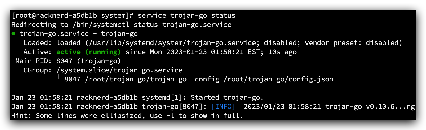 Trojan-Go 运行状态
