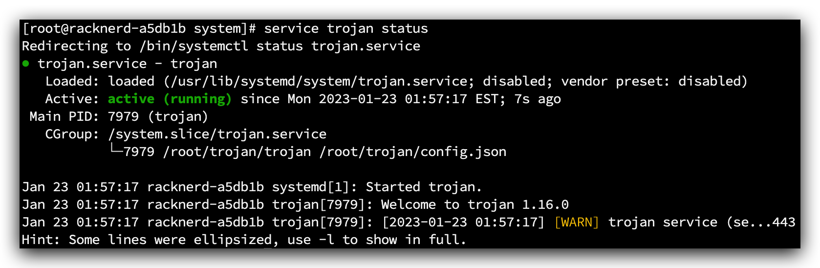 Trojan 运行状态