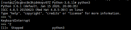 python3