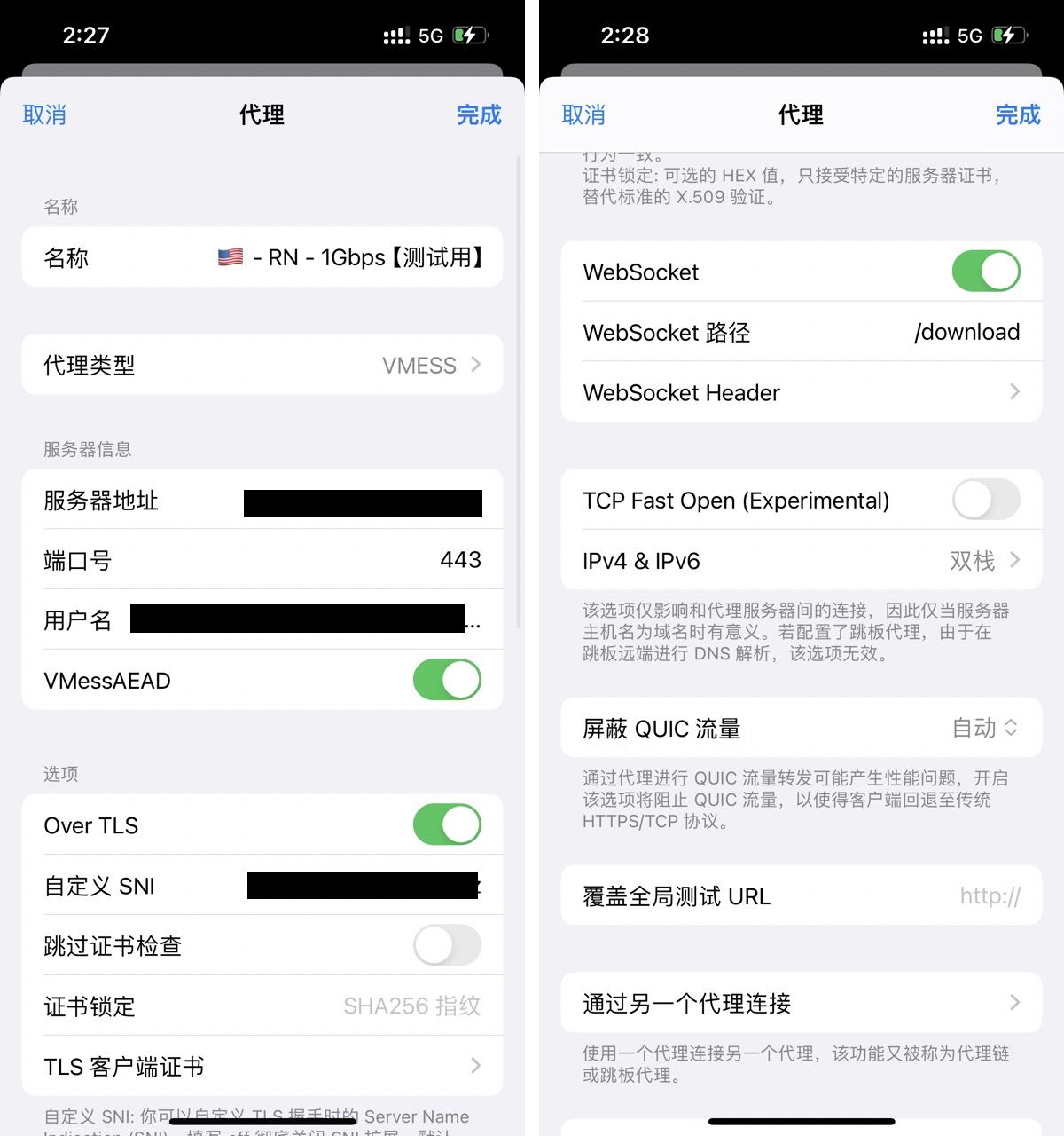 WebSocket + TLS 节点