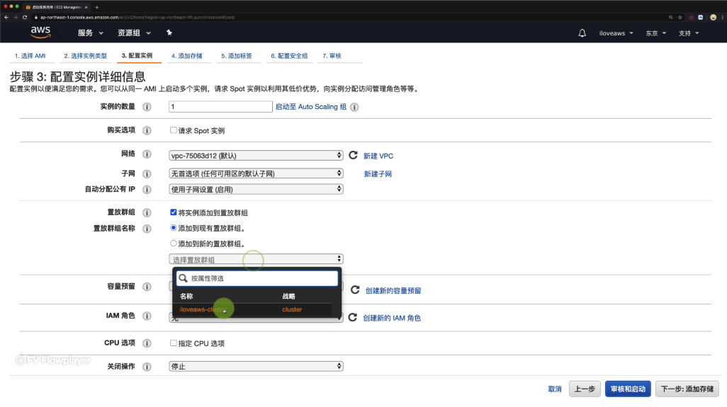 配置新实例的详细信息以放入置放群组