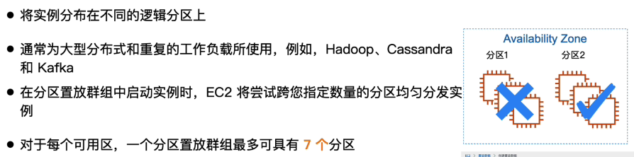 分区 (Partition) 置放群组