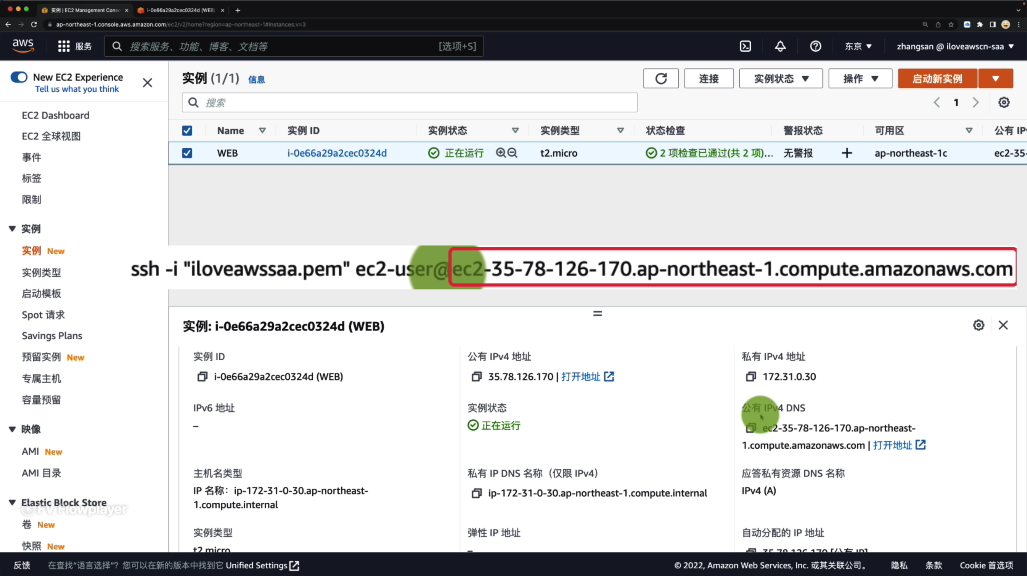 需要使用共有 DNS 或 IP 进行连接
