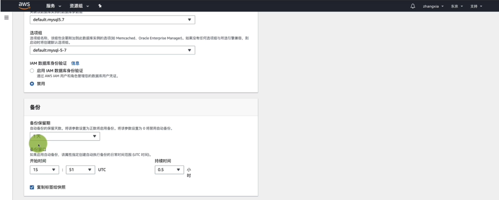 启用主数据库的自动备份