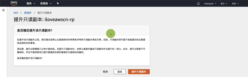 将只读副本提升为独立数据库