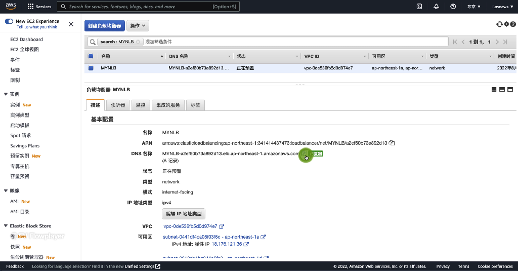 通过公有 DNS 访问负载均衡器