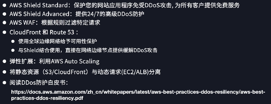 AWS 的 DDoS 防护