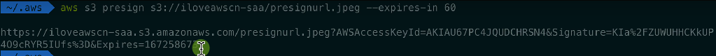 通过 AWS CLI 生成这个对象的预签名 URL