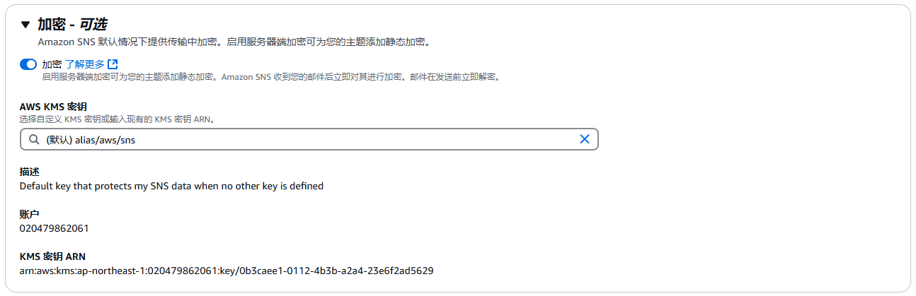只有 KMS 一种密钥使用选项